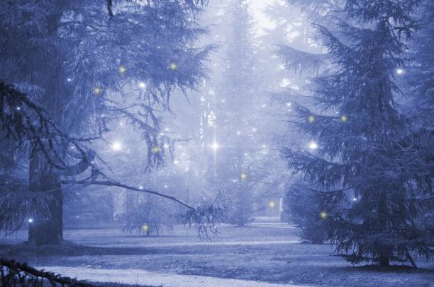 istock Fir trees with fog and stars in blue tones. 893638894