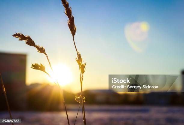 Blade Stock Photo - Download Image Now - Sunlight, January, Solar Energy