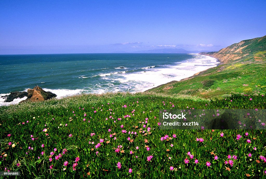 Costa de la bahía de San Francisco - Foto de stock de Agua libre de derechos