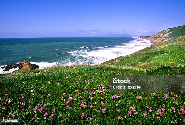 Photo libre de droit de San Francisco Bay Shore banque d'images et plus d'images libres de droit de Aventure - Aventure, Baie - Eau, Beauté de la nature