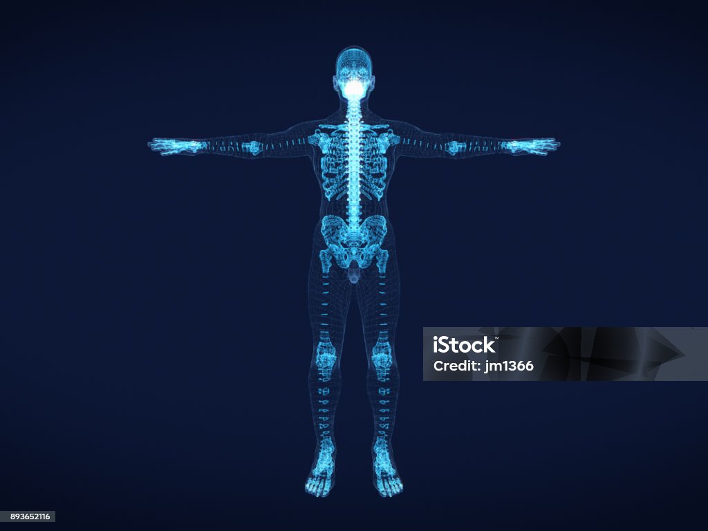 shining dots and line of skeleton ,body  human .3D rendering. Bone Stock Photo