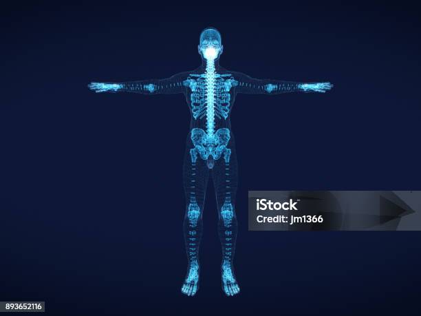 Shining Dots And Line Of Skeleton Body Human 3d Rendering Stock Photo - Download Image Now