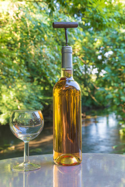 istock bottle of white wine 893652576
