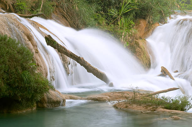 istock Agua Azul waterfalls, Chiapas, Mexico 89365511
