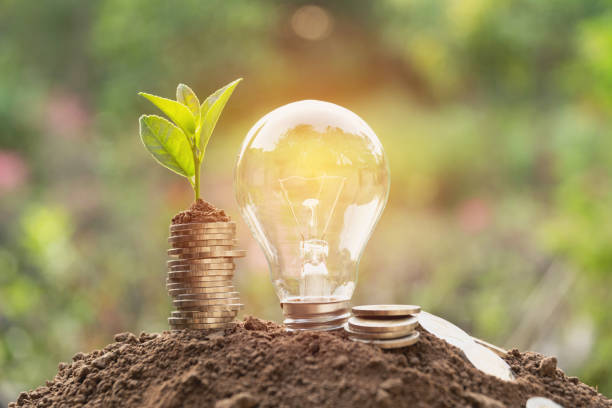 istock Energy saving light bulb and tree growing on stacks of coins on nature background. Saving, accounting and financial concept. 893660570