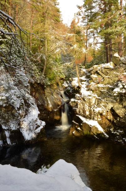 istock Woodland Landscapes 893678416