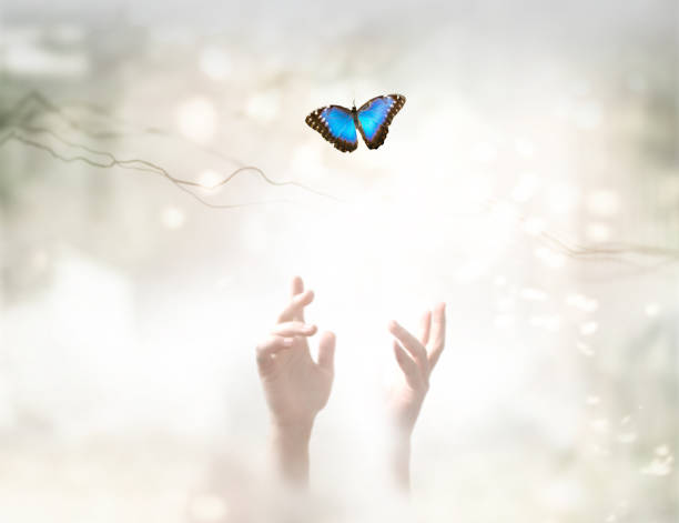 istock Into the Light - metaphorical ethereal background. Soul Release and freedom concept. 893701096