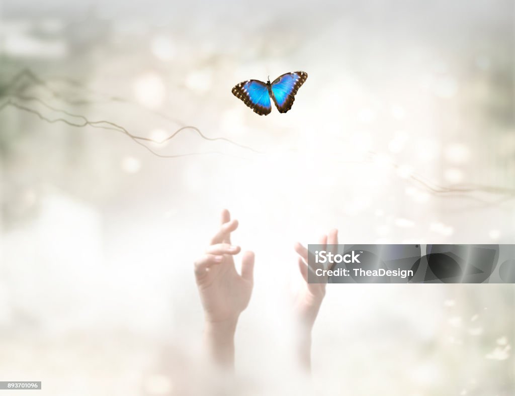 Into the Light - metaphorical ethereal background. Soul Release and freedom concept. Releasing Stock Photo