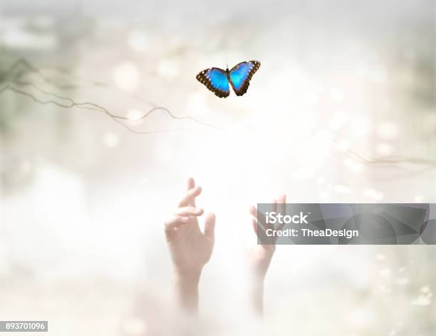 Into The Light Metaphorical Ethereal Background Soul Release And Freedom Concept Stock Photo - Download Image Now