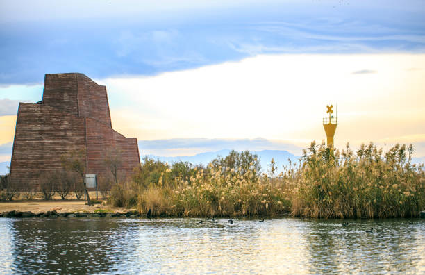 istock Delta del Ebro ,Tarragona landscape. River mouth 893701774