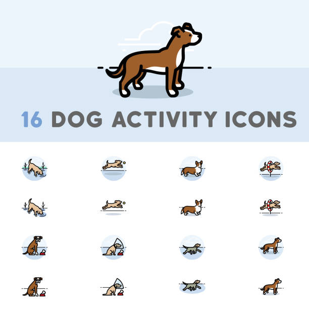 16 hund aktivität icons - agility stock-grafiken, -clipart, -cartoons und -symbole