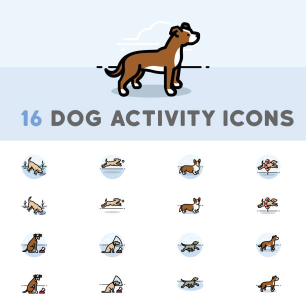 16 ikony aktywności psów - agility stock illustrations