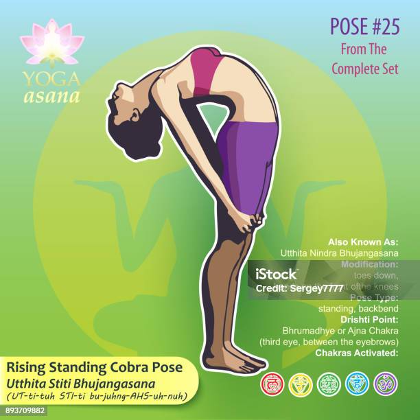 25 Yoga Rising Standing Cobra Stock Illustration - Download Image Now - 80-89 Years, Alertness, Biomedical Illustration