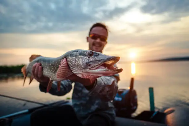 Happy angler holds pike fish sitting in a boat with river on the background