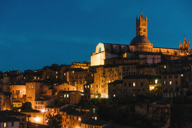 istock Scenic view of Siena from viewpoint at night 893715708