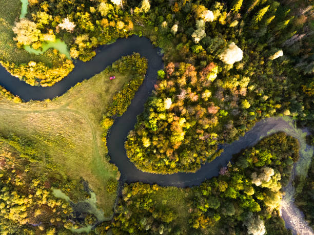 istock Aerial view of the autumn forest 893715978