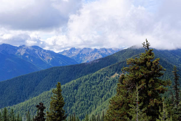 istock View from the Deer Park area in Olympic National Park 893716594
