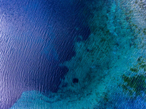 istock Aerial view of the karst lake 893717006