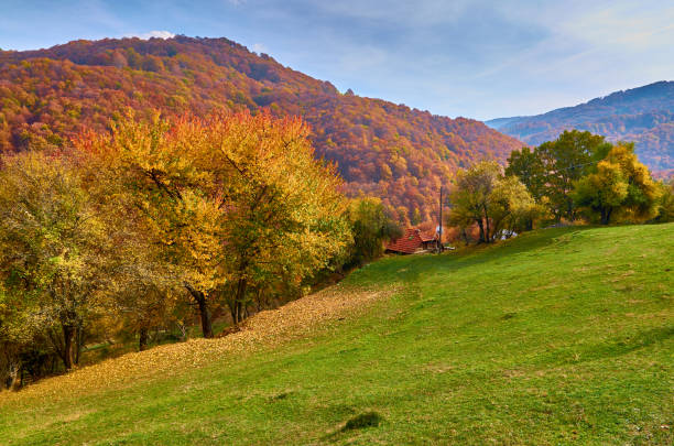 istock Breathtaking autumn landscape. 893745904