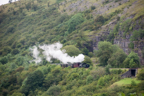 istock Brecon Mountain Railway,Wales,UK 893746892
