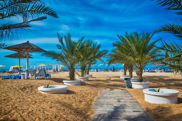 la plage de ras al khaimah avec parasols et chaises longues. - ras al khaimah photos et images de collection