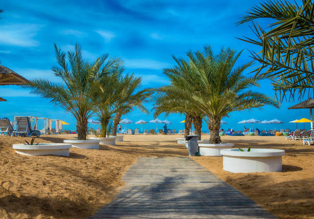 istock The beach in Ras Al Khaimah with umbrellas and sunbeds. 893747034
