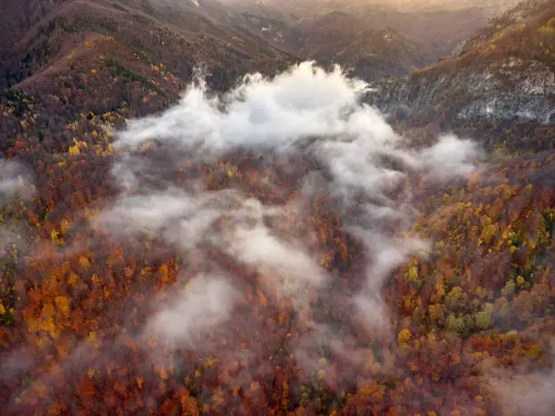 Photo of Aerial photography of autumn forest under clouds .