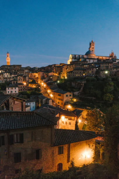 istock Scenic view of Siena from viewpoint at night 893757028