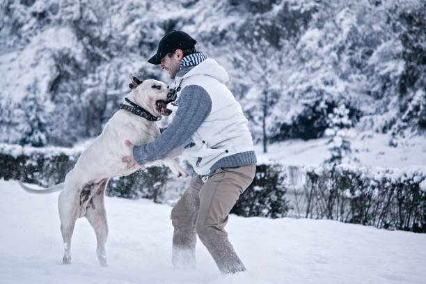 istock Young man with white dog in the nature 893761526