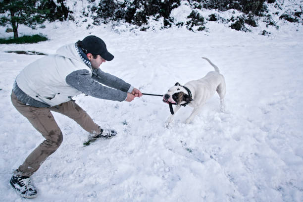 istock Man with his white dog in the snow 893765028
