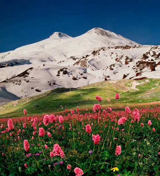 A beautiful view of Mountain Elbrus during the day