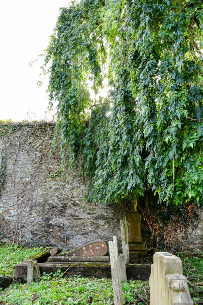 istock Old Burial Ground in Ireland 893794742