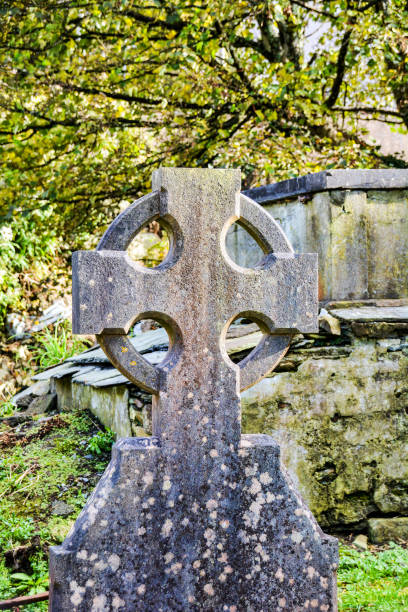 istock Old Burial Ground in Ireland 893797426
