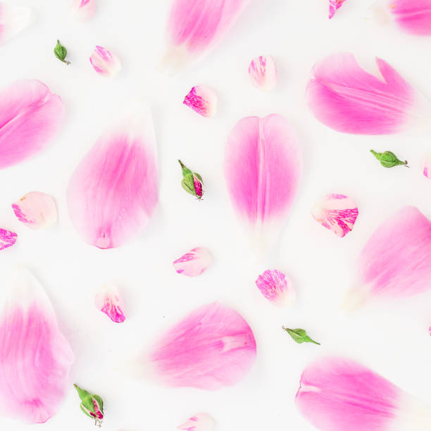 istock Pattern with flowers, isolated on white background. Flat lay, Top view. 893804260