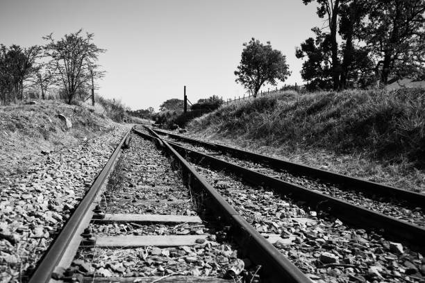 istock Old overgrown used railway tracks intersection merge in artistic conversion 893825820