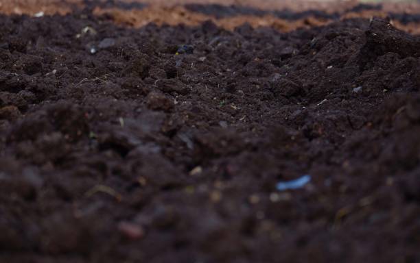 istock Farmland soil, farm field 893835878