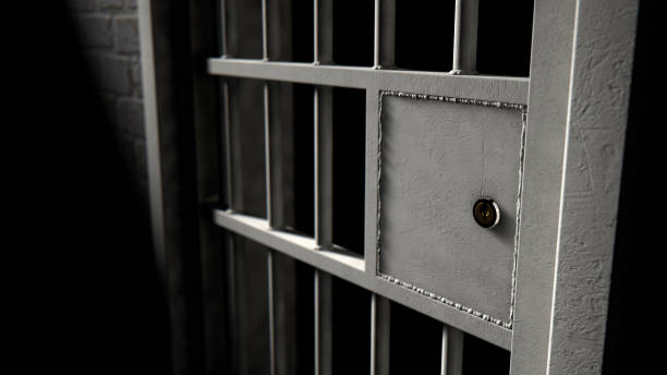 istock Jail Cell Door And Welded Iron Bars 893836434