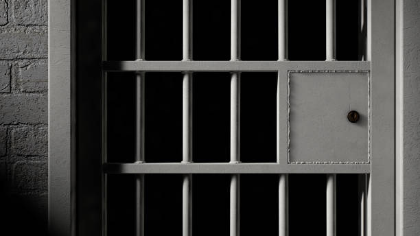 istock Jail Cell Door And Welded Iron Bars 893836480