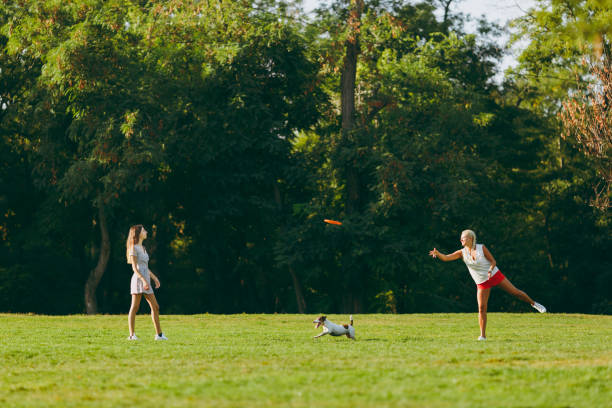 mère et fille lance la balle orange disque volant petit chien drôle, dont son interception sur l’herbe verte. petit animal de jack russel terrier jouer à l’extérieur dans le parc. chien et femmes. famille reposant sur plein air - fondation de recherche photos et images de collection