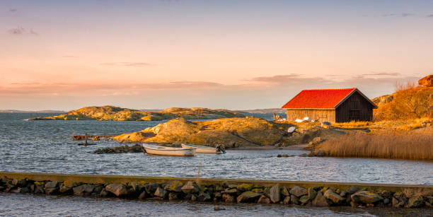 istock Swedish coastline in morning 893880170