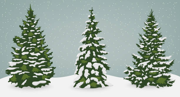 ilustrações de stock, clip art, desenhos animados e ícones de snow trees set on isolated background. christmas tree. vector - snow tree