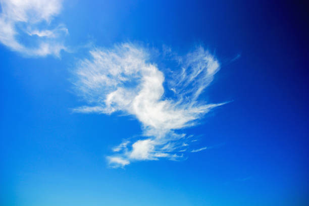 istock Clouds in the shape of a bird on a Sunny sky. 893912640