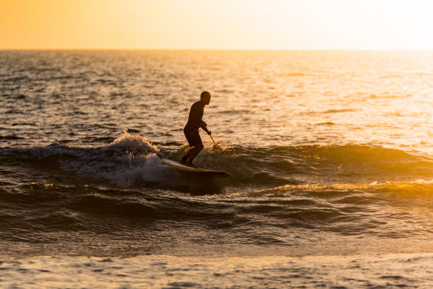 istock Stand up paddler silhouette at sunset 893917572