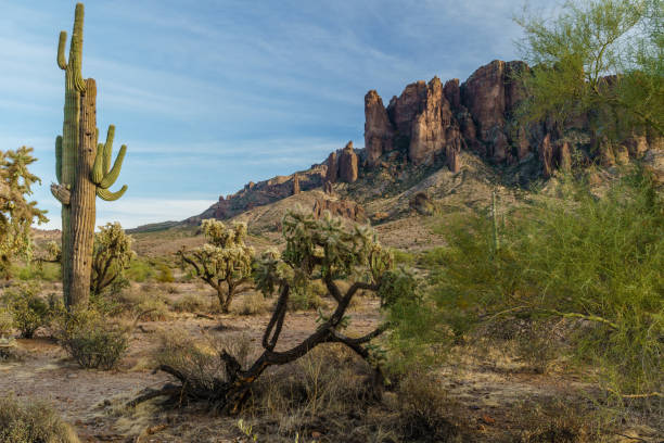 istock Sunset approaches the Arizona rugged desert 893959676