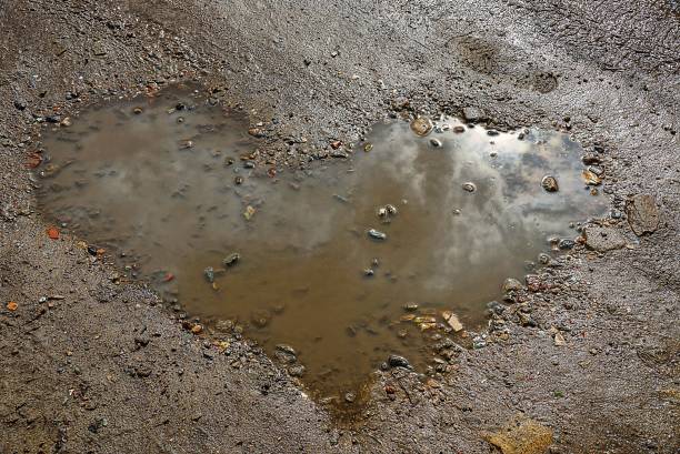 a puddle in the shape of a heart on the brown earth of the road