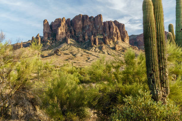 istock Sunset approaches the Arizona rugged desert 893980400