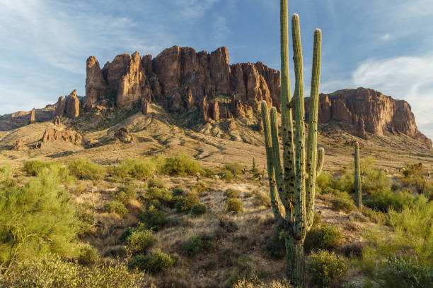 istock Sunset approaches the Arizona rugged desert 893983530