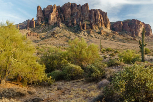 istock Sunset approaches the Arizona rugged desert 893988164
