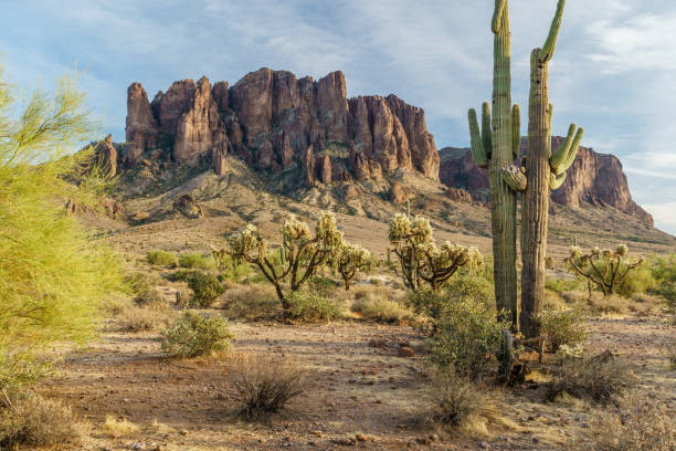 istock Sunset approaches the Arizona rugged desert 893989670