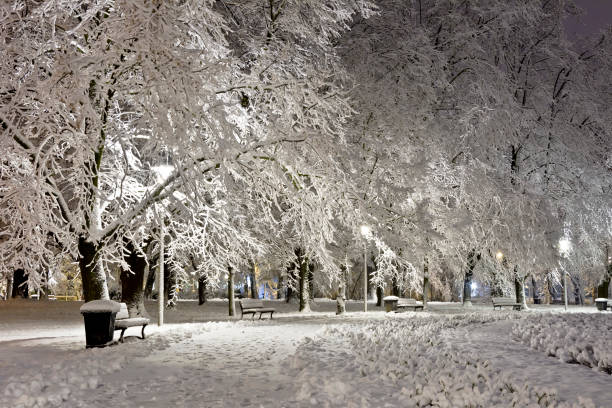 istock A snow-covered city park at night. Winter. 893993882